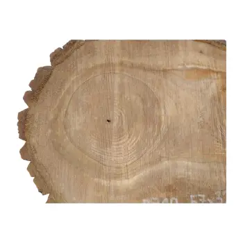 Plaster Orzecha Włoskiego 57x32x6cm