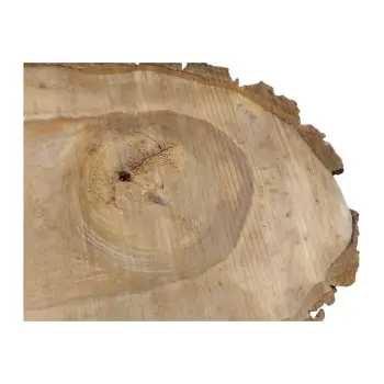 Plaster Orzecha Włoskiego 57x32x6cm