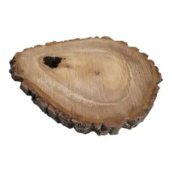 Plaster Orzecha Włoskiego 44x38x5cm