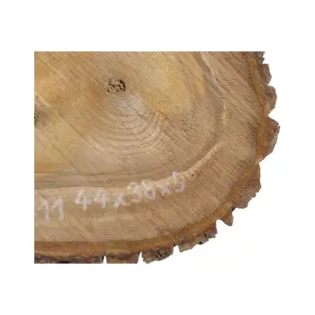 Plaster Orzecha Włoskiego 44x38x5cm