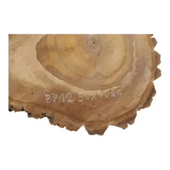 Plaster Orzecha Włoskiego 50x40x4cm