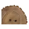 Plaster Orzecha Włoskiego 39x39x5cm