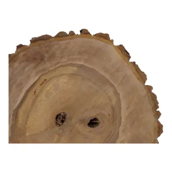 Plaster Orzecha Włoskiego 39x39x5cm