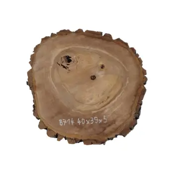 Plaster Orzecha Włoskiego 40x39x5cm
