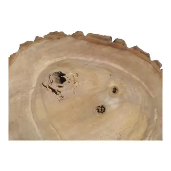 Plaster Orzecha Włoskiego 40x39x5cm