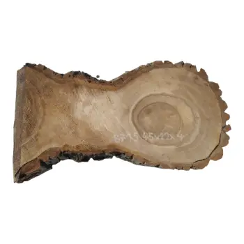 Plaster Orzecha Włoskiego 45x22x4cm