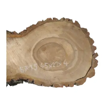 Plaster Orzecha Włoskiego 45x22x4cm