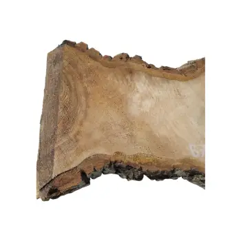 Plaster Orzecha Włoskiego 45x22x4cm