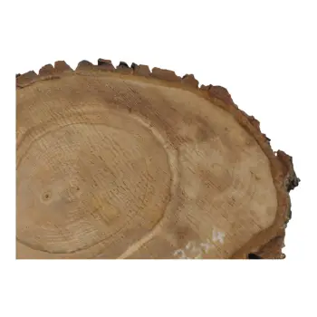 Plaster Orzecha Włoskiego 41x33x4cm