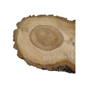 Plaster Orzecha Włoskiego 48x26x4cm