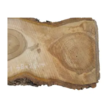 Plaster Orzecha Włoskiego 48x26x4cm