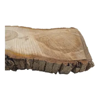 Plaster Orzecha Włoskiego 48x26x4cm