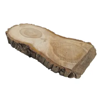 Plaster Orzecha Włoskiego 48x26x4cm