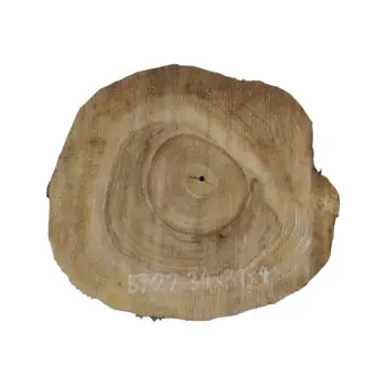 Plaster Orzecha Włoskiego 34x31x4cm