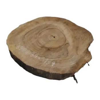 Plaster Orzecha Włoskiego 34x31x4cm