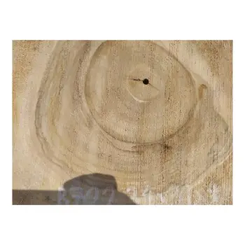 Plaster Orzecha Włoskiego 34x31x4cm