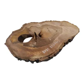 Plaster Orzecha Włoskiego 50x33x5cm