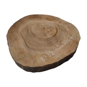 Plaster Orzecha Włoskiego 30x30x4cm