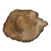 Plaster Orzecha Włoskiego 45x31x4cm