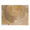 Plaster Orzecha Włoskiego 45x31x4cm