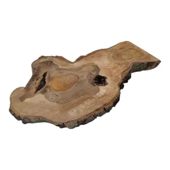 Plaster Orzecha Włoskiego 59x35x4cm