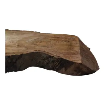 Plaster Orzecha Włoskiego 59x35x4cm