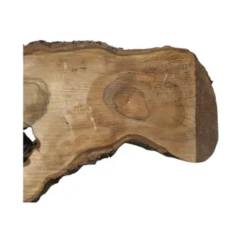 Plaster Orzecha Włoskiego 59x35x4cm