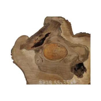 Plaster Orzecha Włoskiego 59x35x4cm