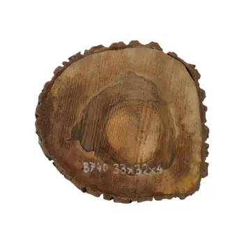 Plaster Orzecha Włoskiego 33x32x4cm
