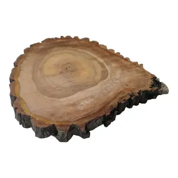 Plaster Orzecha Włoskiego 40x39x4cm