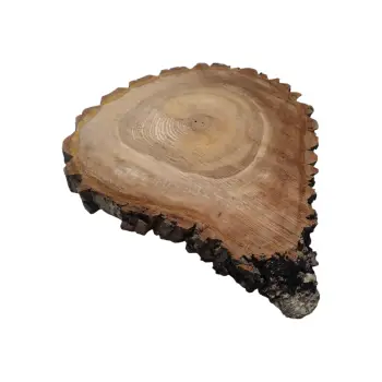 Plaster Orzecha Włoskiego 40x39x4cm