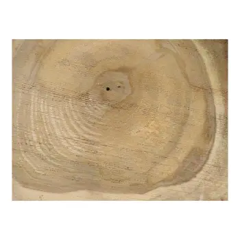 Plaster Orzecha Włoskiego 40x39x4cm