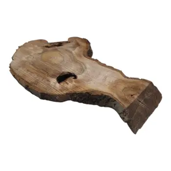Plaster Orzecha Włoskiego 57x35x4cm