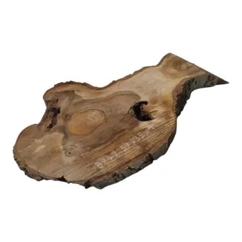 Plaster Orzecha Włoskiego 57x35x4cm