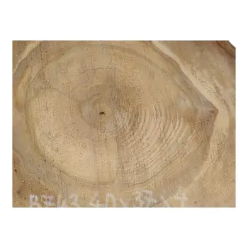 Plaster Orzecha Włoskiego 40x37x4cm