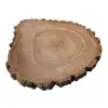 Plaster Orzecha Włoskiego 40x43x4cm