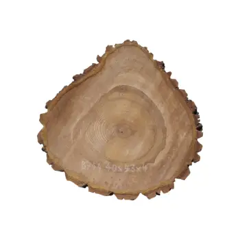 Plaster Orzecha Włoskiego 40x43x4cm