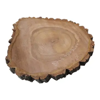 Plaster Orzecha Włoskiego 40x43x4cm