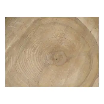 Plaster Orzecha Włoskiego 40x43x4cm