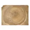 Plaster Orzecha Włoskiego 40x38x4cm