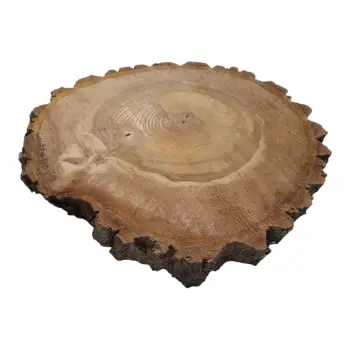 Plaster Orzecha Włoskiego 40x38x4cm