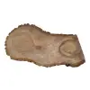 Plaster Orzecha Włoskiego 65x32x4cm