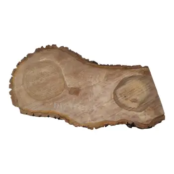Plaster Orzecha Włoskiego 65x32x4cm