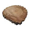 Plaster Orzecha Włoskiego 40x38x4cm