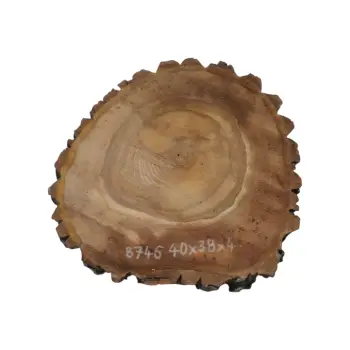 Plaster Orzecha Włoskiego 40x38x4cm