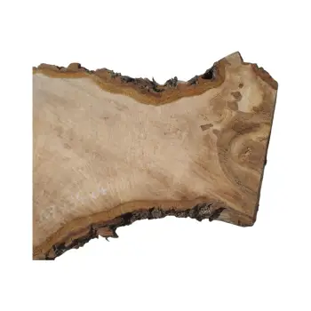 Plaster Orzecha Włoskiego 67x34x4cm