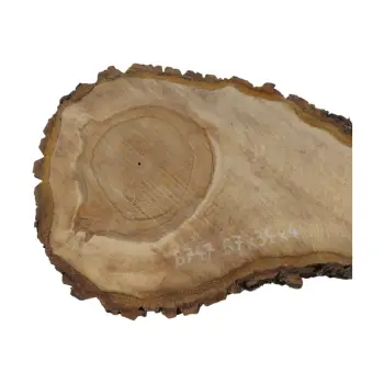 Plaster Orzecha Włoskiego 67x34x4cm