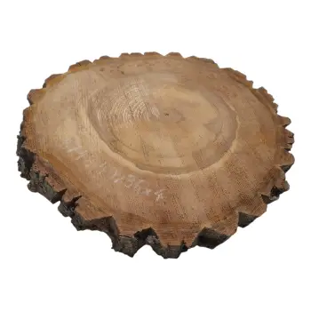 Plaster Orzecha Włoskiego 40x36x4cm