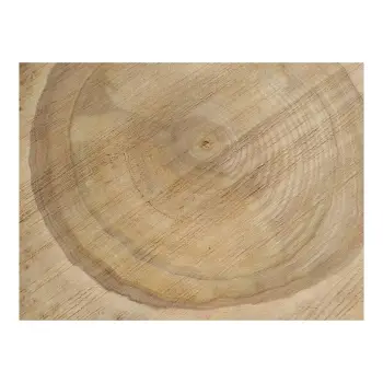 Plaster Orzecha Włoskiego 40x35x4cm