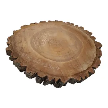 Plaster Orzecha Włoskiego 40x35x4cm